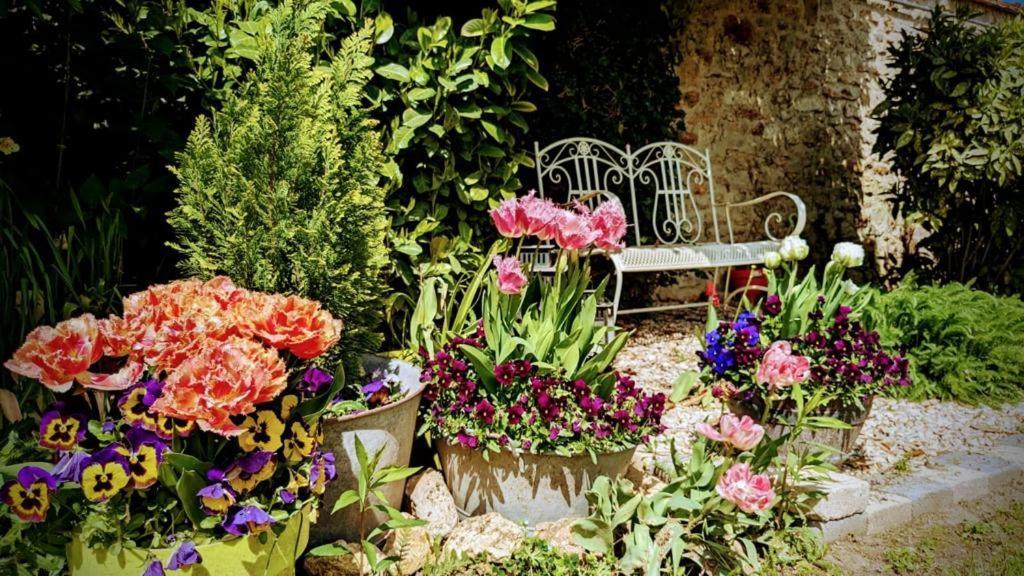 Chailly-en-Biere La Plaine De L'Angelus Bed & Breakfast エクステリア 写真