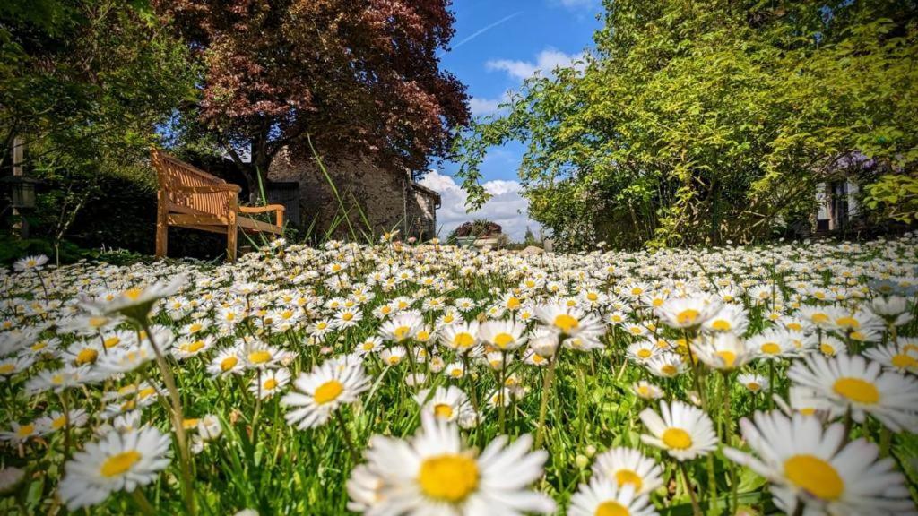 Chailly-en-Biere La Plaine De L'Angelus Bed & Breakfast エクステリア 写真